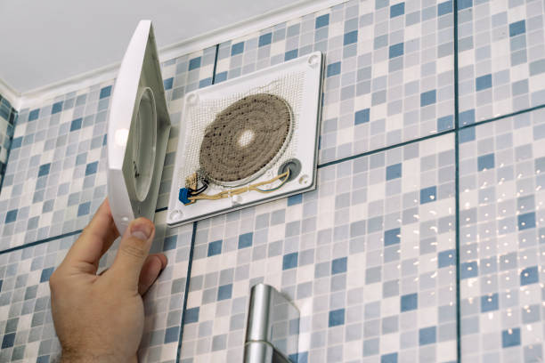Best Air Duct Mold Removal  in Gumlog, GA