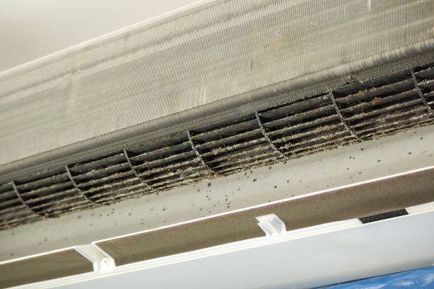 Best Emergency Air Duct Cleaning  in Gumlog, GA